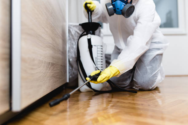 Flea Control Services in Moundville, AL