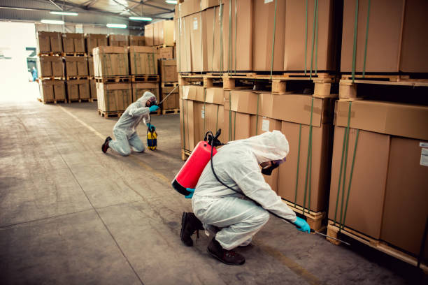 Best Flea Control Services  in Moundville, AL