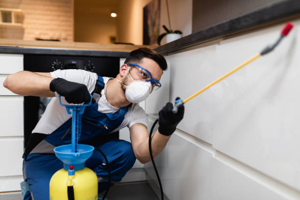 Best Pest Control Near Me  in Moundville, AL