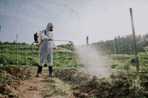 Best Affordable Pest Control Services  in Moundville, AL