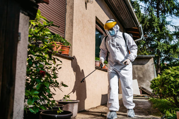 Best Wasp Removal Services  in Moundville, AL