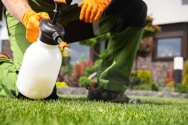 Trusted Moundville, AL Pest Control Experts