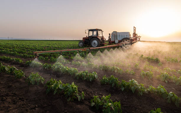 Best Insect Control  in Moundville, AL