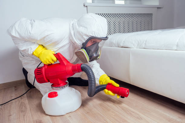 Best Rat Extermination Near Me  in Moundville, AL
