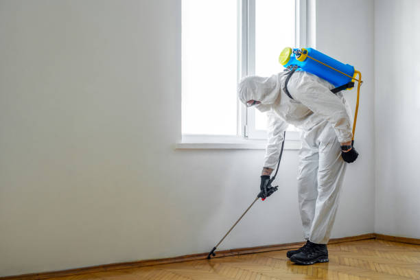 Best Mosquito Control Services  in Moundville, AL
