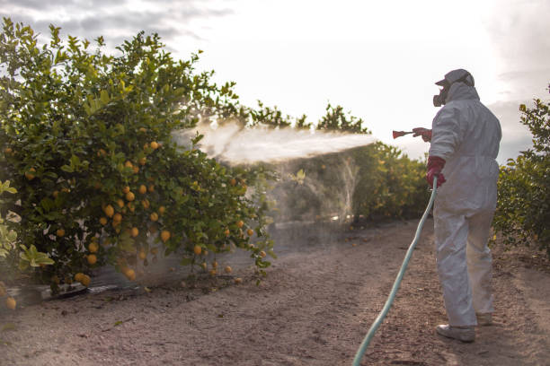 Best Best Pest Control Companies  in Moundville, AL