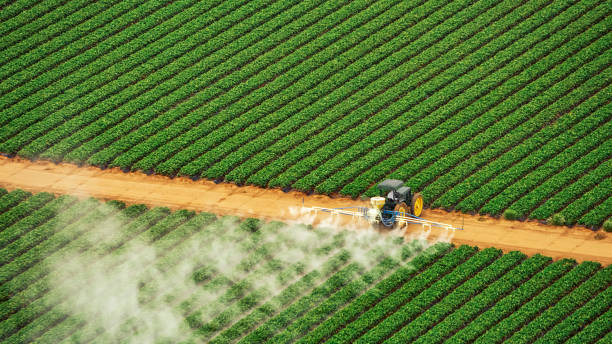 Pest Prevention Services in Moundville, AL
