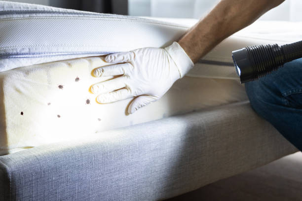 Best Affordable Pest Control Services  in Moundville, AL