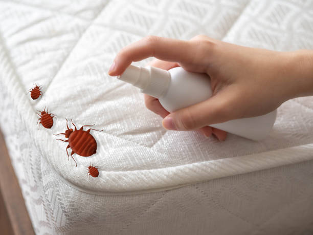 Best Commercial Pest Control Services  in Moundville, AL